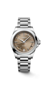 Longines Conquest - Sunray brown dial